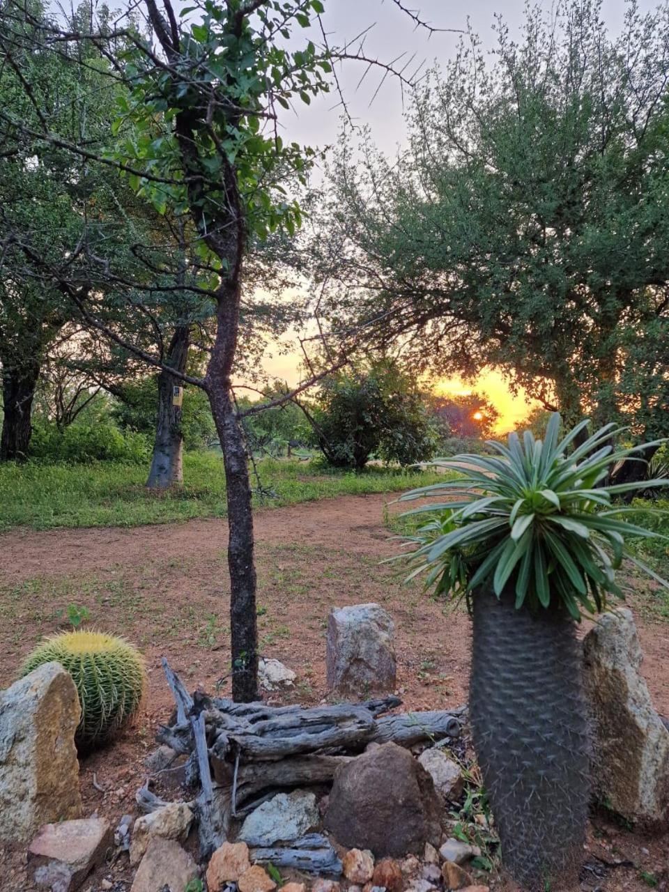 Masorini Bush Lodge & Safari Tents Phalaborwa Exteriör bild